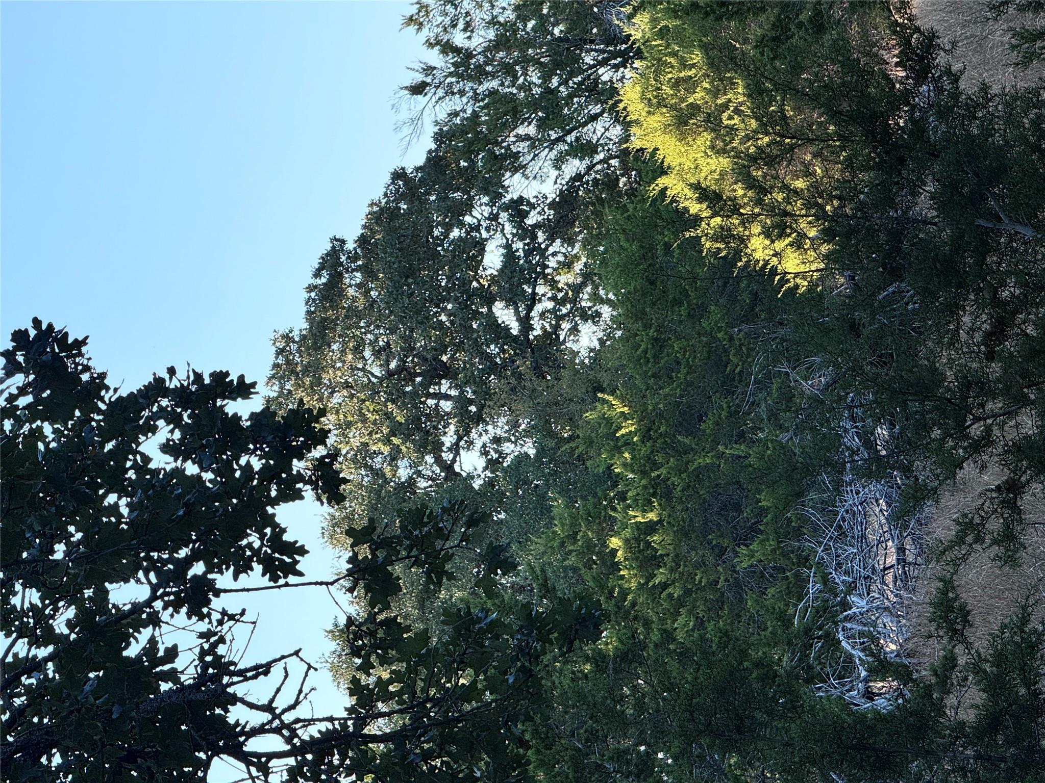 TBD Whisper Ln, Georgetown, TX 78628