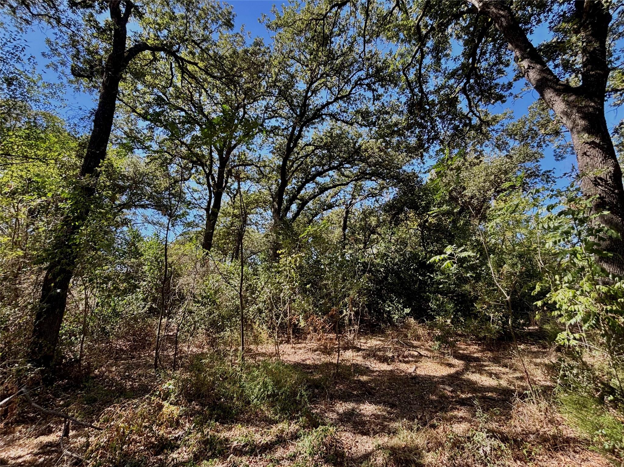 00 Fm-1048, Rosebud, TX 76570