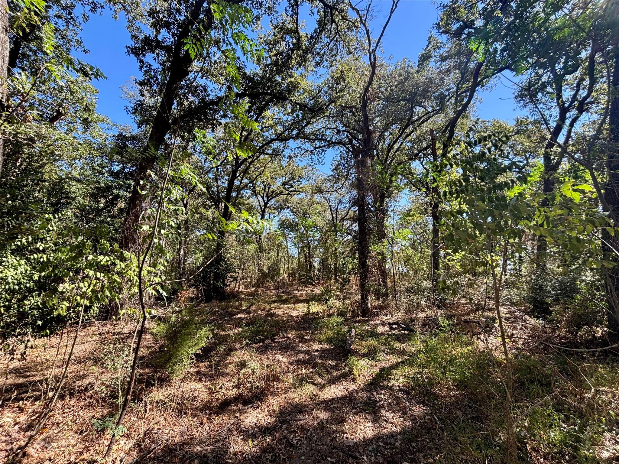 00 Fm-1048, Rosebud, TX 76570