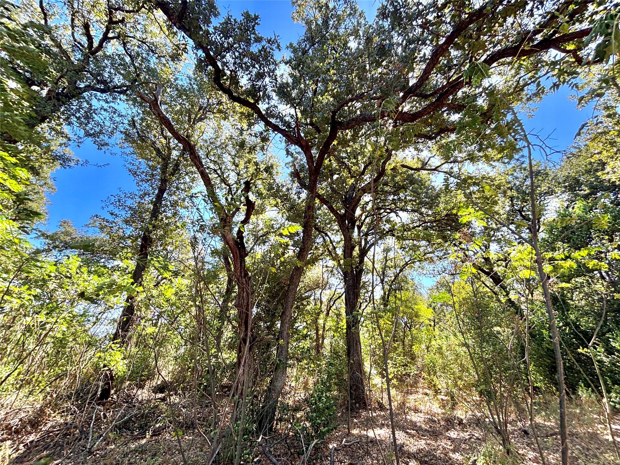 00 Fm-1048, Rosebud, TX 76570