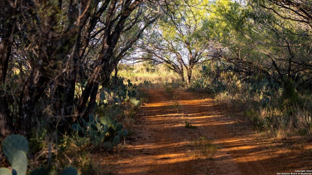 6170 County Road 332, Jourdanton, TX 78026