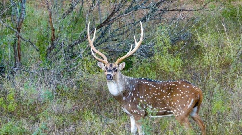 6170 County Road 332, Jourdanton, TX 78026