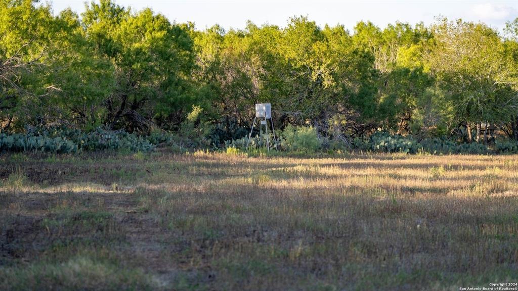 6170 County Road 332, Jourdanton, TX 78026