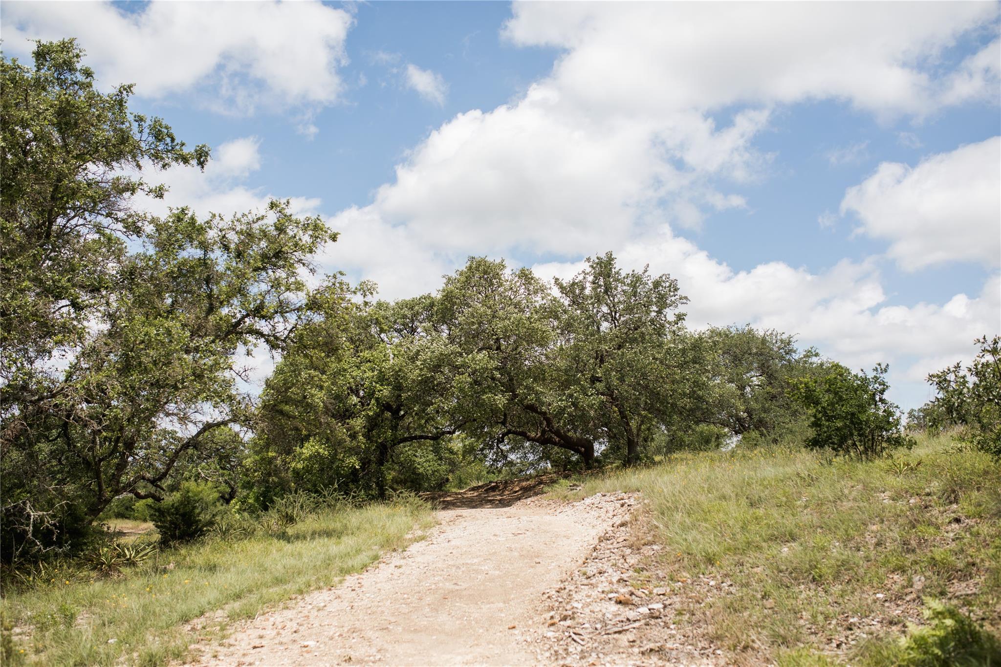 109 Wynne Cv, Liberty Hill, TX 78641