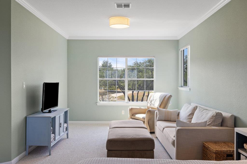 19200 White Horse Cv, Spicewood, TX 78669