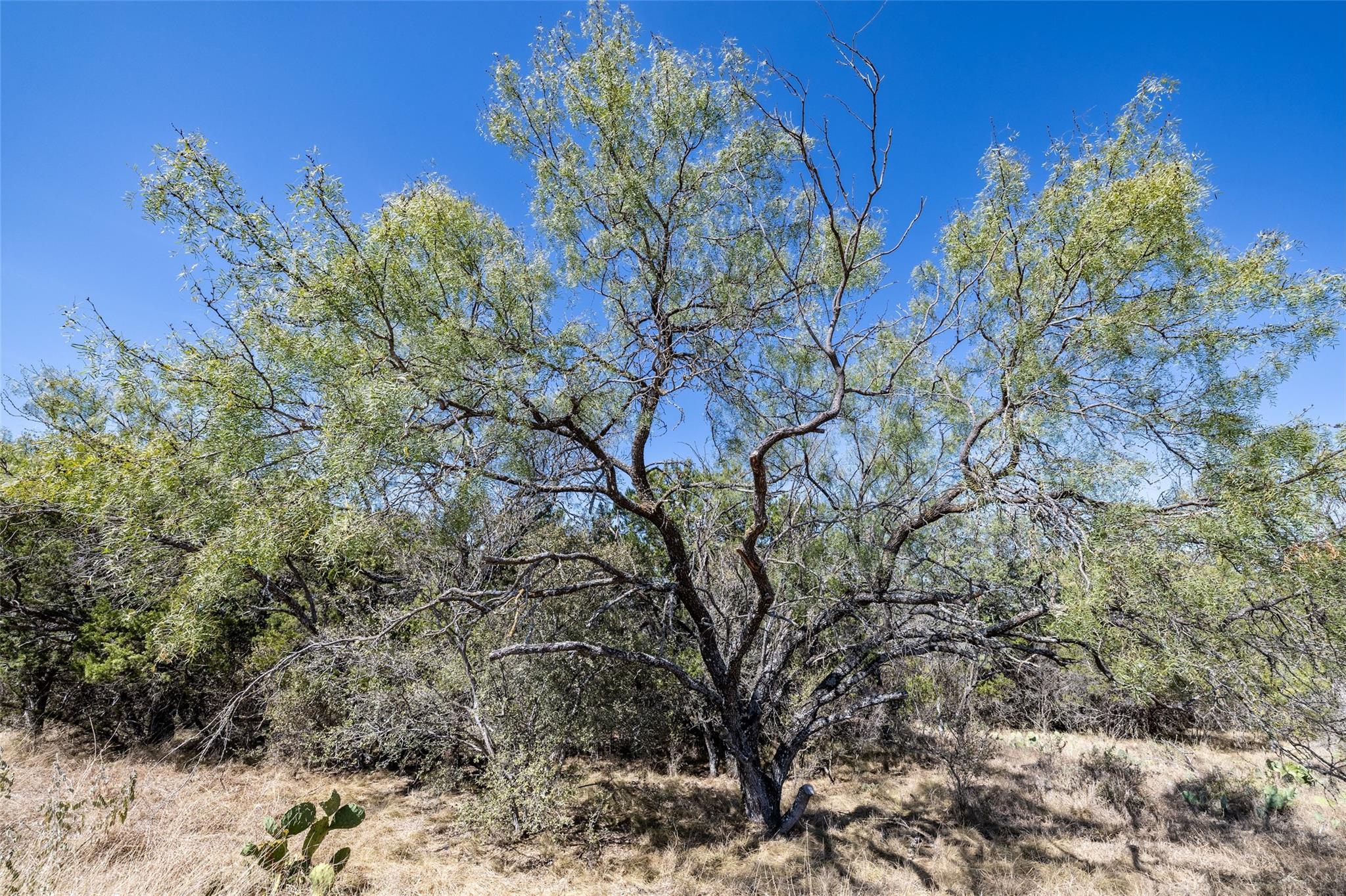 K8079 Stagecoach, Horseshoe Bay, TX 78657