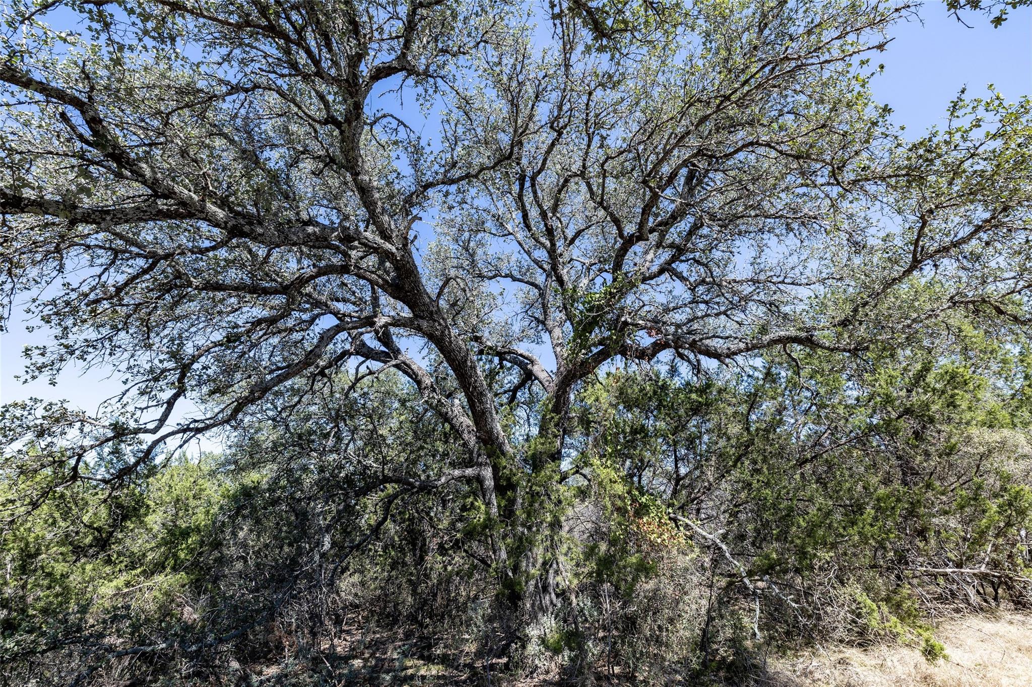 K8079 Stagecoach, Horseshoe Bay, TX 78657