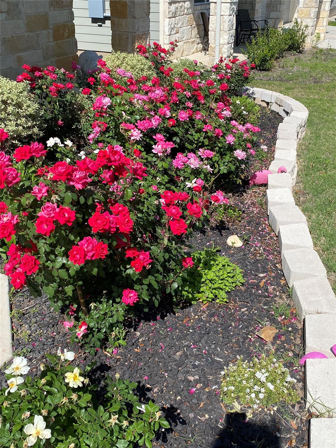 123 Wichita River Rd, Hutto, TX 78634