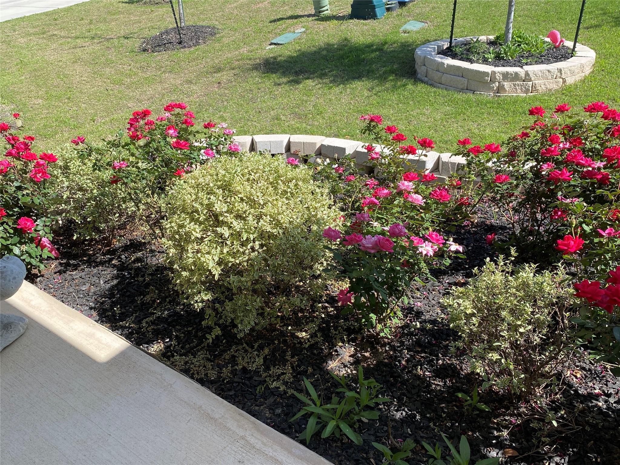 123 Wichita River Rd, Hutto, TX 78634