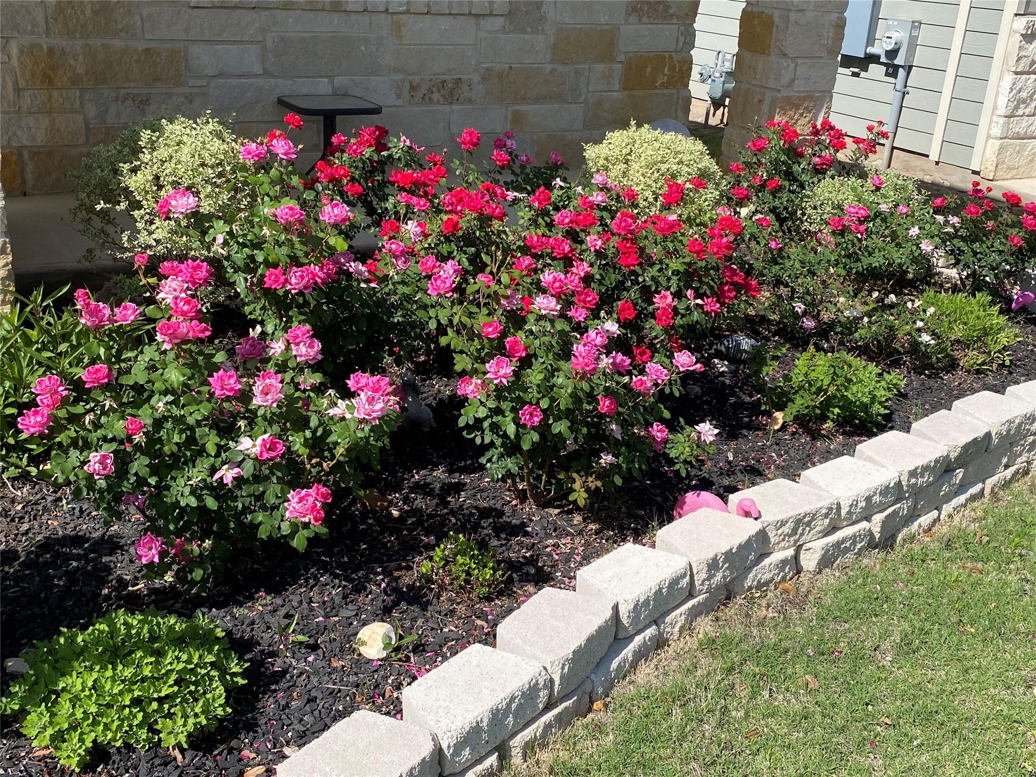 123 Wichita River Rd, Hutto, TX 78634