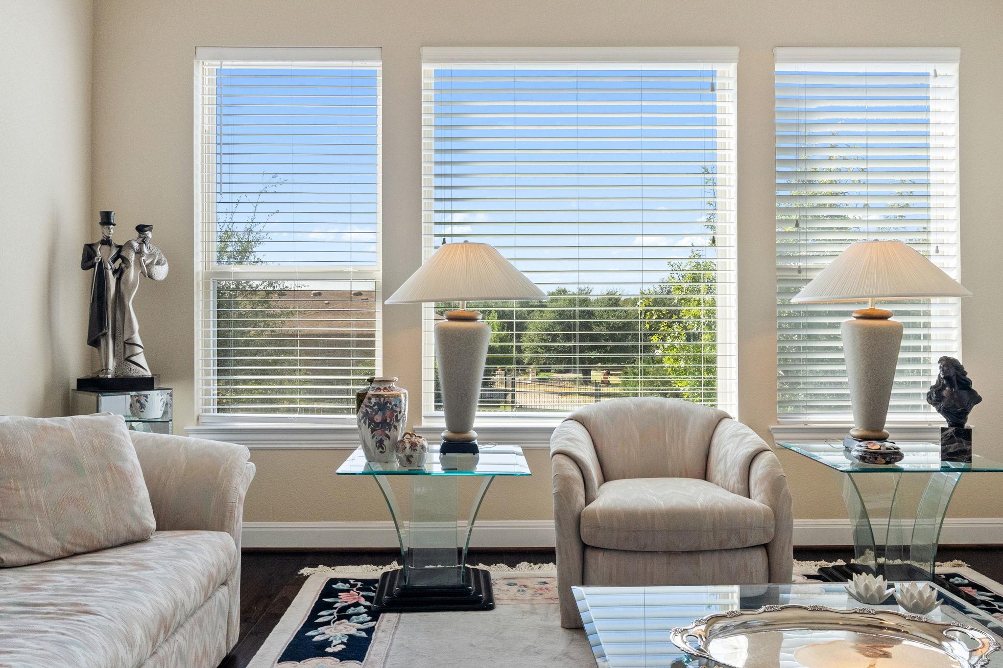 821 Richardson Ln, Leander, TX 78641