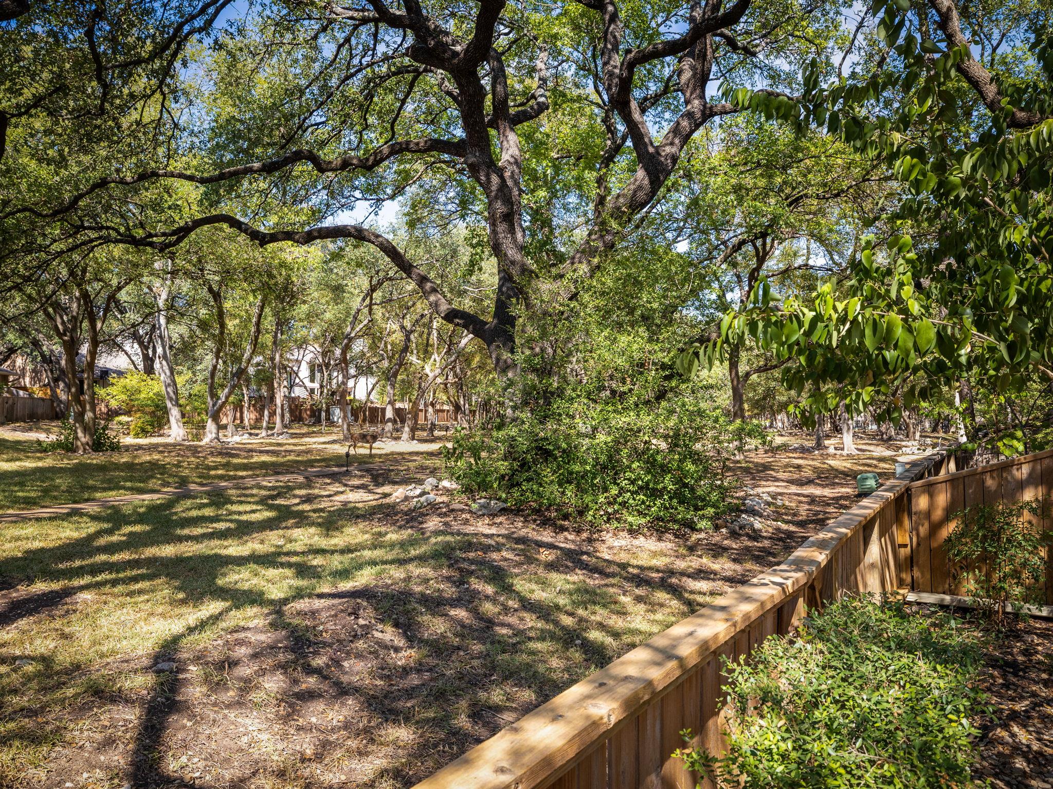 8216 Summer Side Dr, Austin, TX 78759