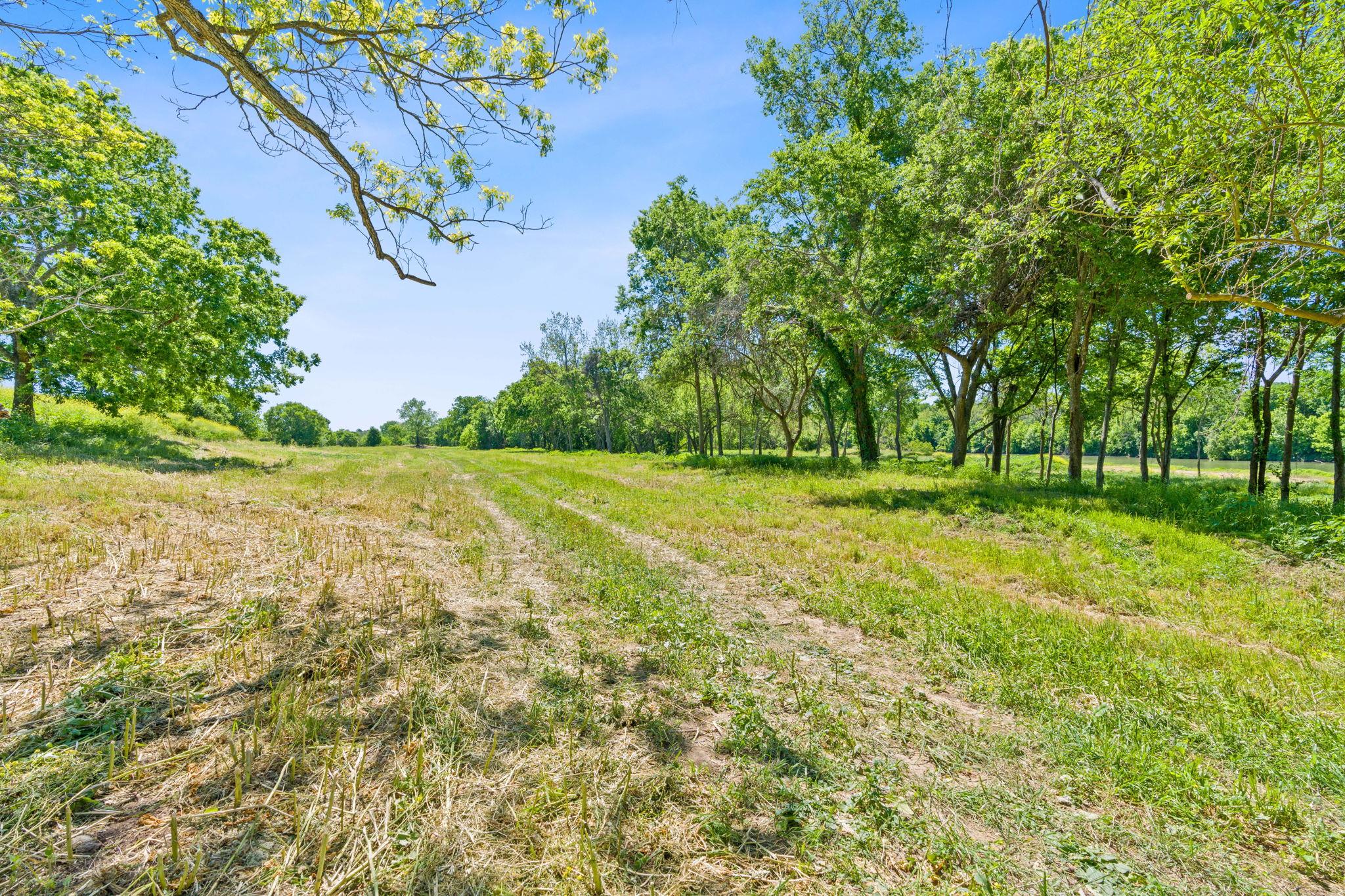 663 SH 230 Loop, Smithville, TX 78957