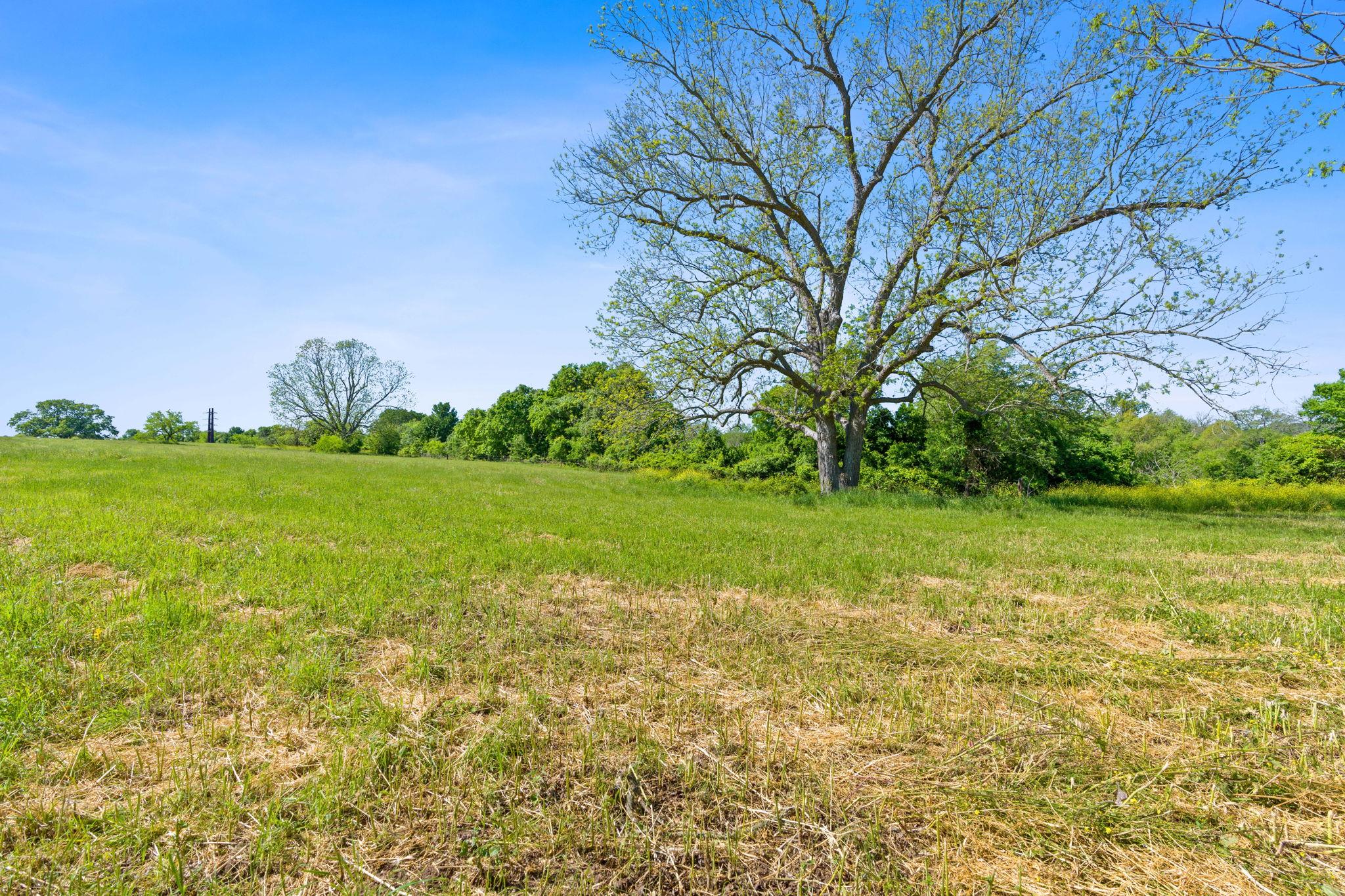 663 SH 230 Loop, Smithville, TX 78957