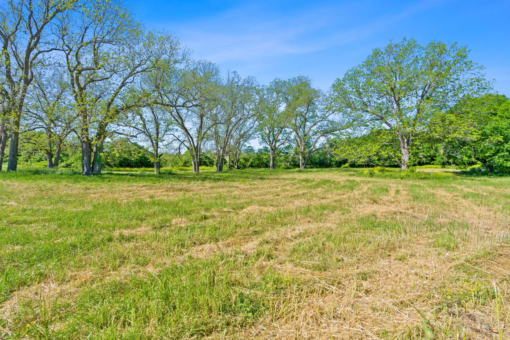 663 SH 230 Loop, Smithville, TX 78957
