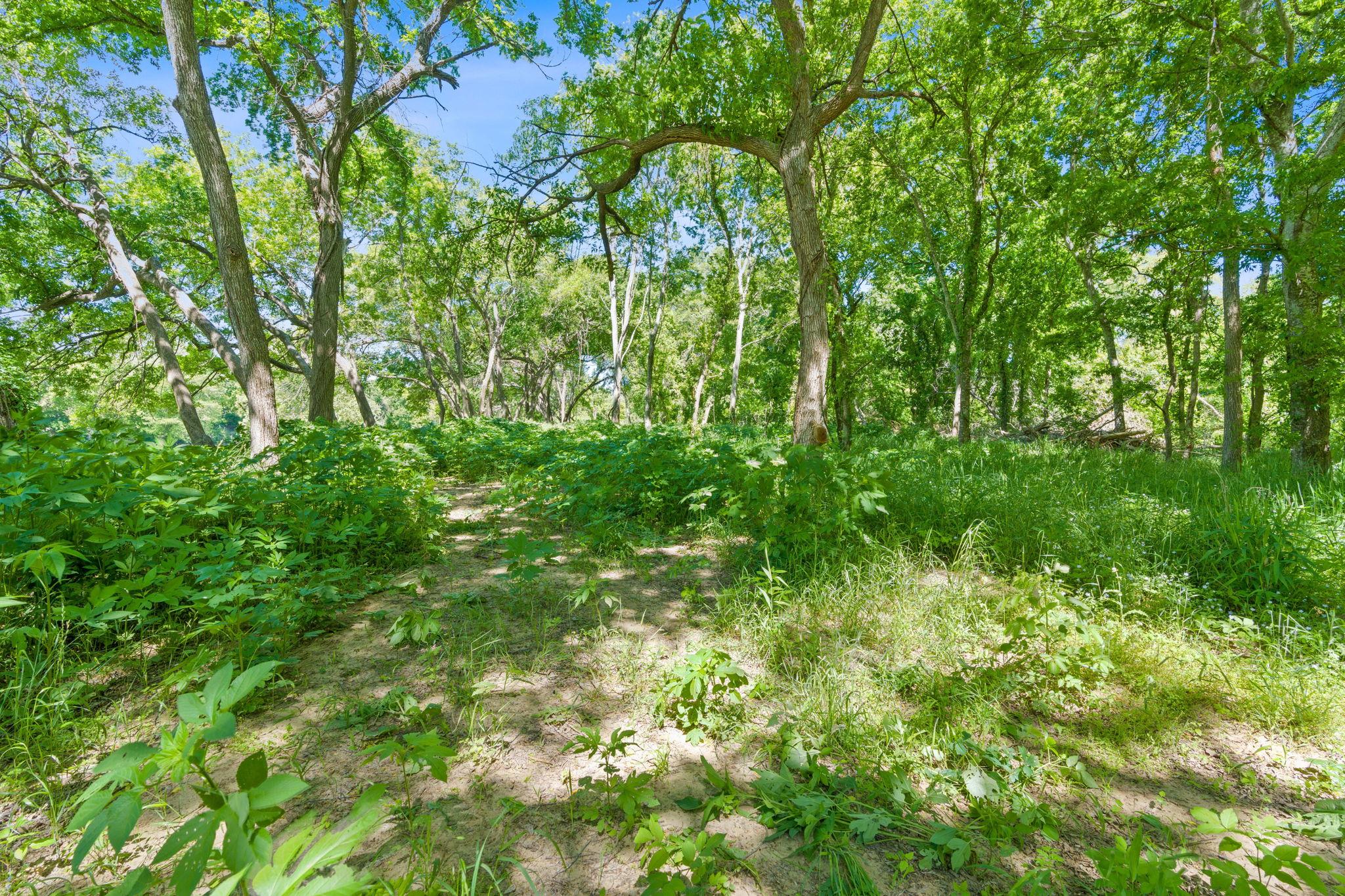 665 SH 230 Loop, Smithville, TX 78957