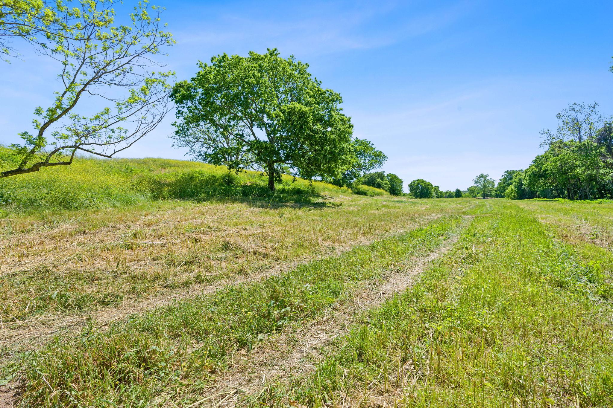 665 SH 230 Loop, Smithville, TX 78957