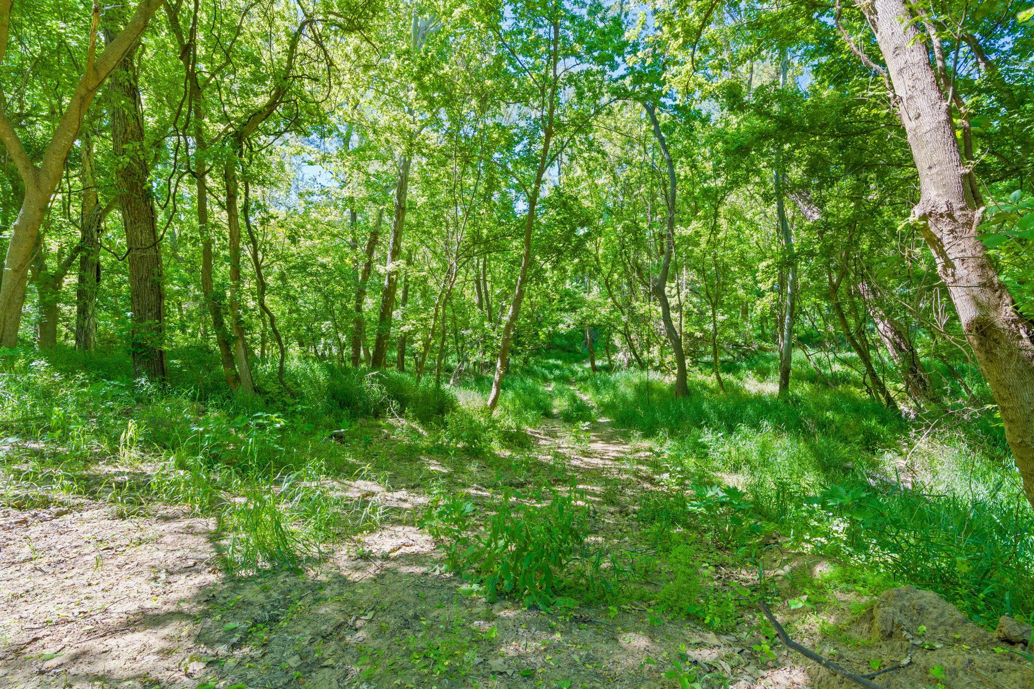 665 SH 230 Loop, Smithville, TX 78957