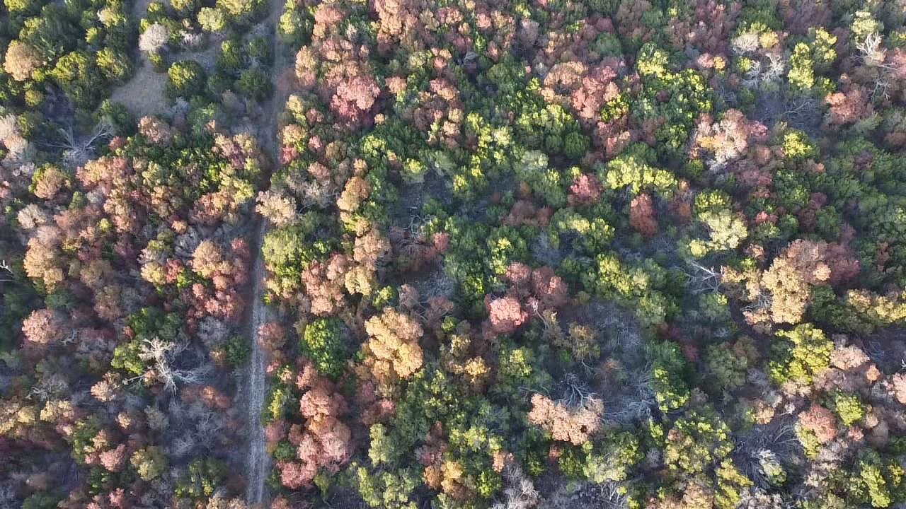 FM 1113 Lindorbet, Copperas Cove, TX 76522