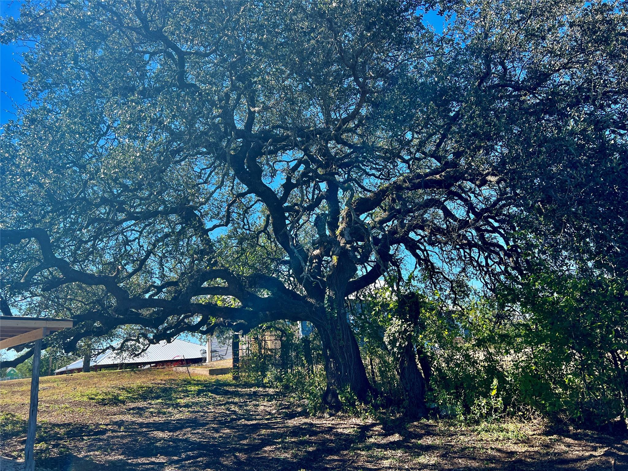 305 N HALL St, Richland Springs, TX 78643