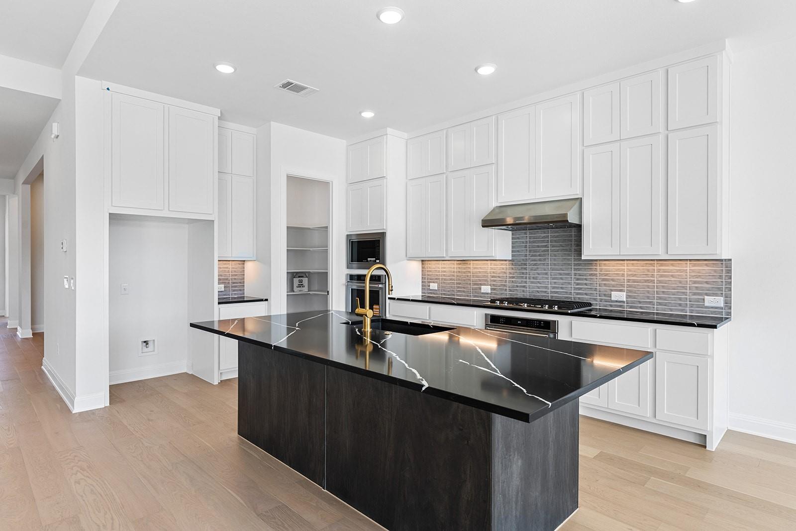 17725 Absinthe Dr, Austin, TX 78738