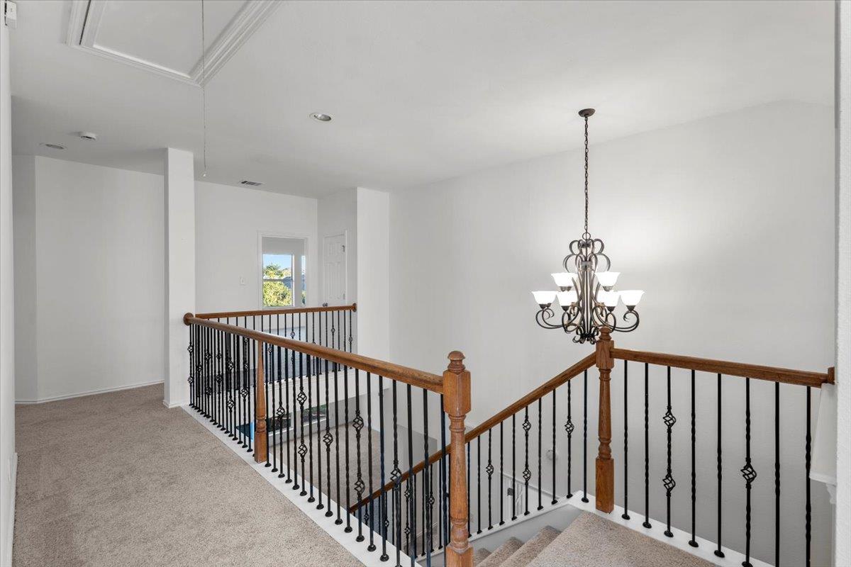 20517 Buteo St, Pflugerville, TX 78660