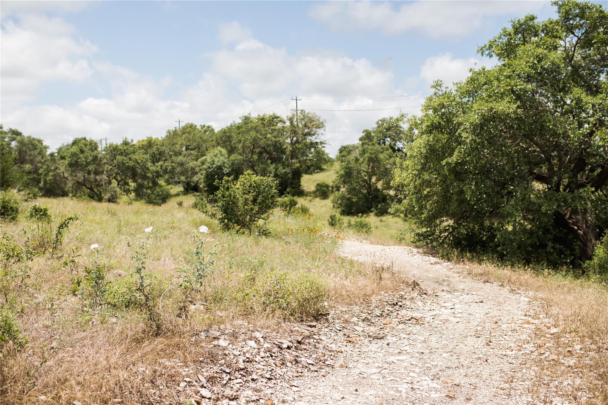 440 Los Olives Ln, Liberty Hill, TX 78641