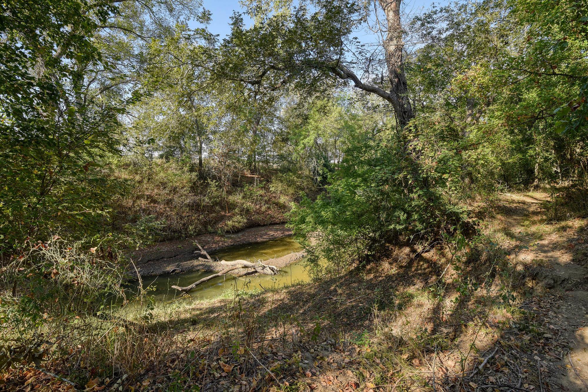 183 Clover Rd, Cedar Creek, TX 78612