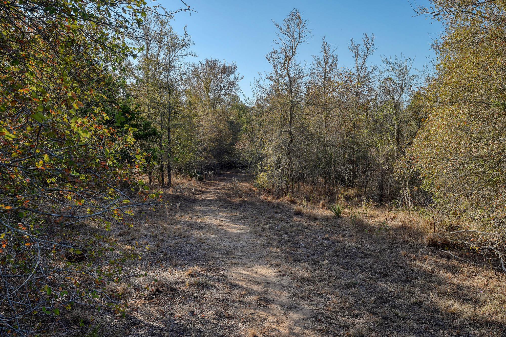 183 Clover Rd, Cedar Creek, TX 78612