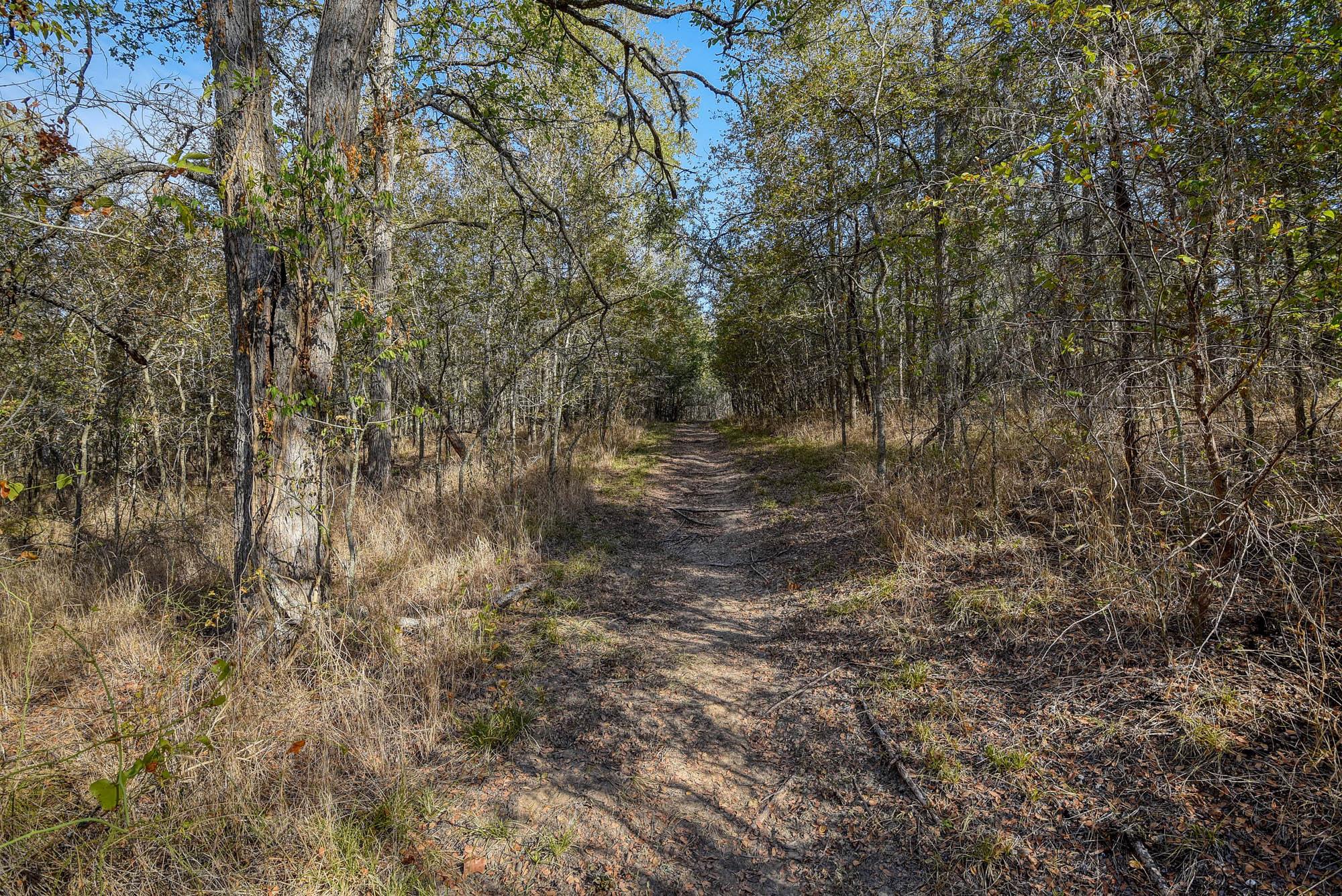 183 Clover Rd, Cedar Creek, TX 78612