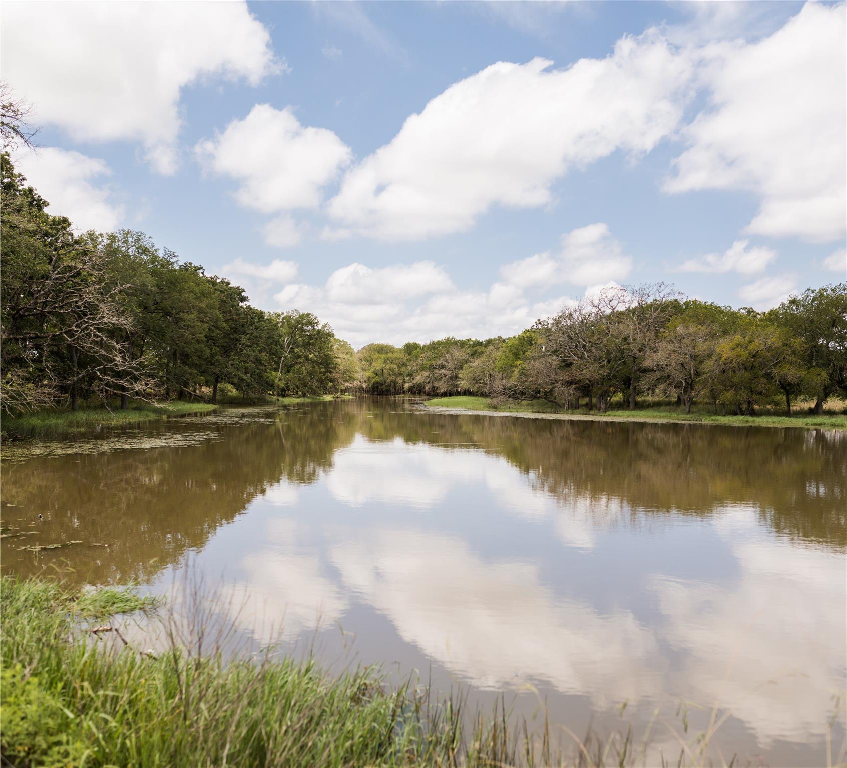 657 Los Olives Ln, Liberty Hill, TX 78641