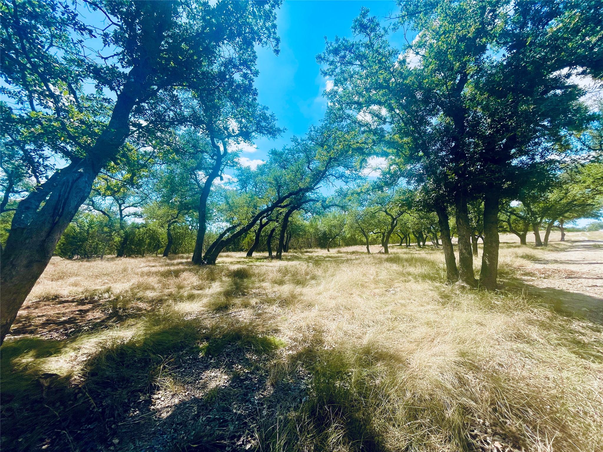 233 Towhead Valley Rd, Johnson City, TX 78636