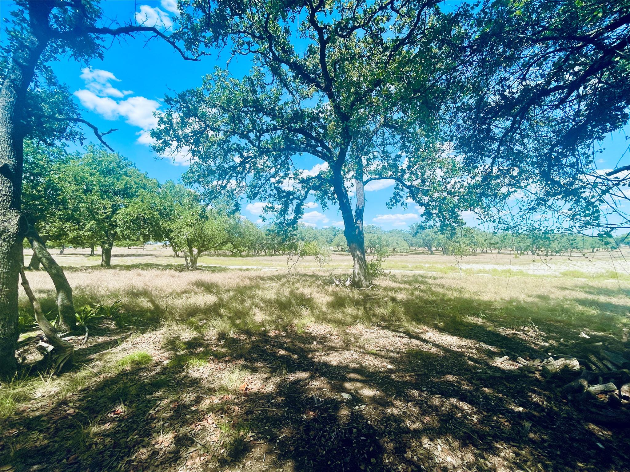 233 Towhead Valley Rd, Johnson City, TX 78636