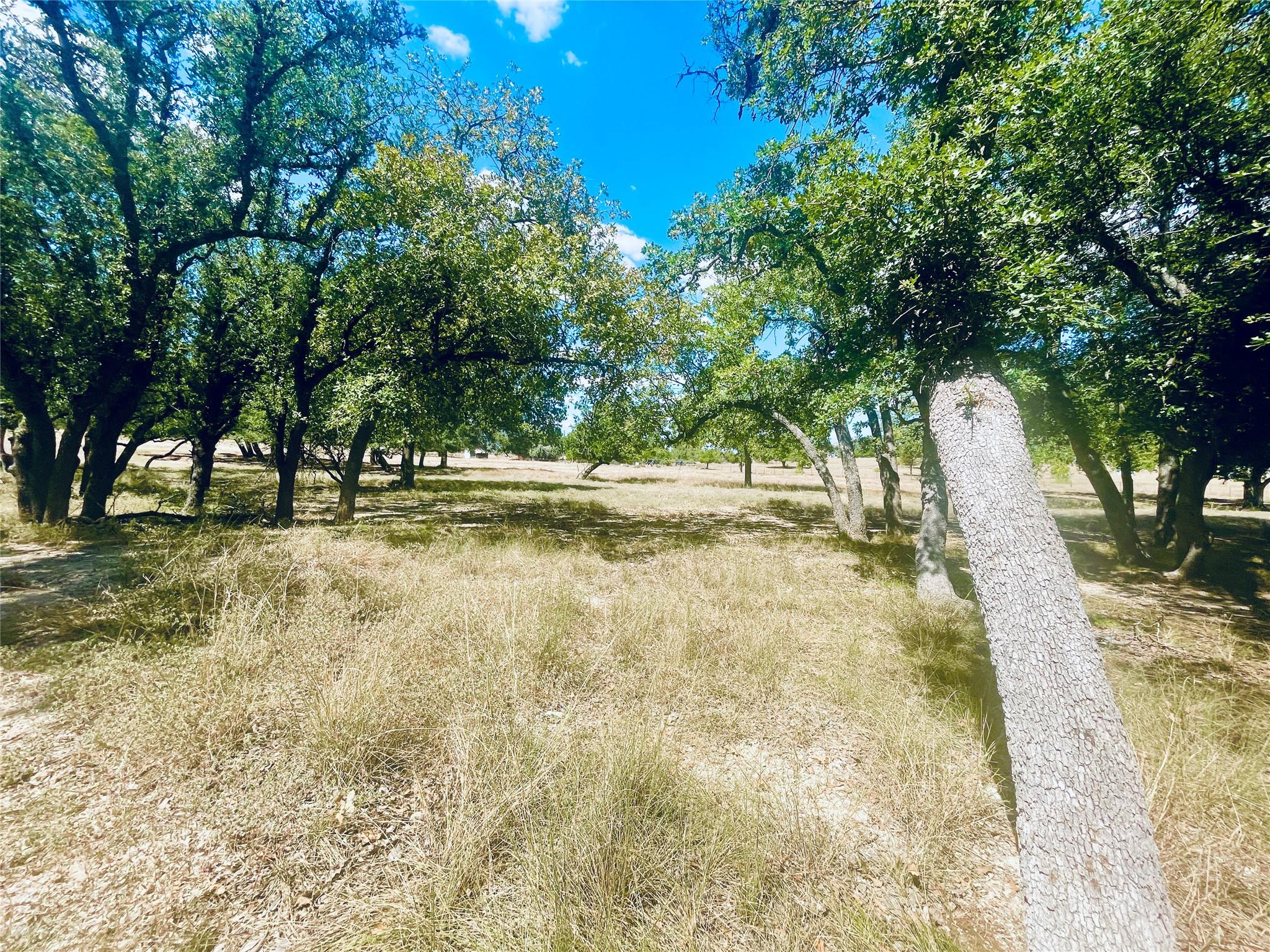 233 Towhead Valley Rd, Johnson City, TX 78636