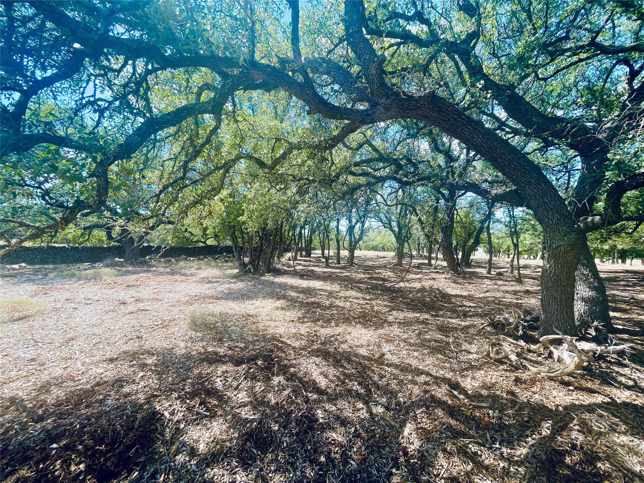 233 Towhead Valley Rd, Johnson City, TX 78636