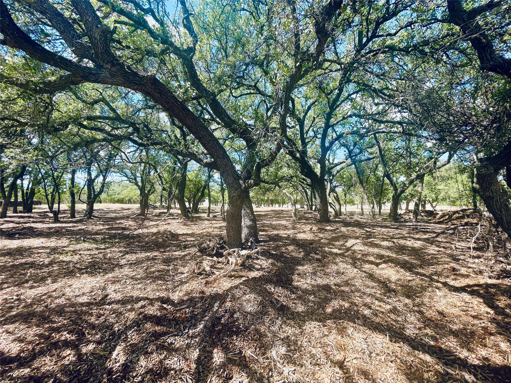 233 Towhead Valley Rd, Johnson City, TX 78636