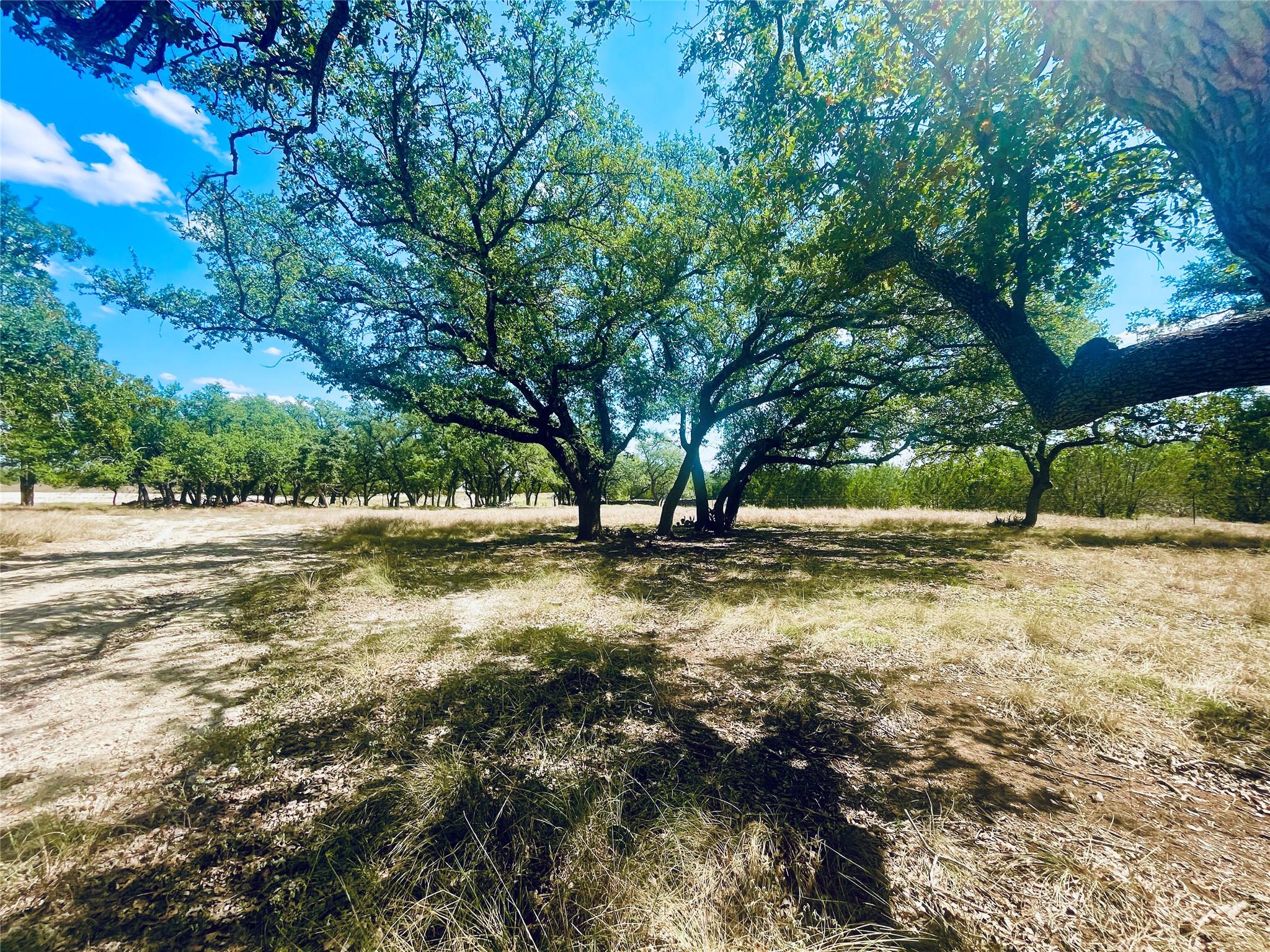 233 Towhead Valley Rd, Johnson City, TX 78636