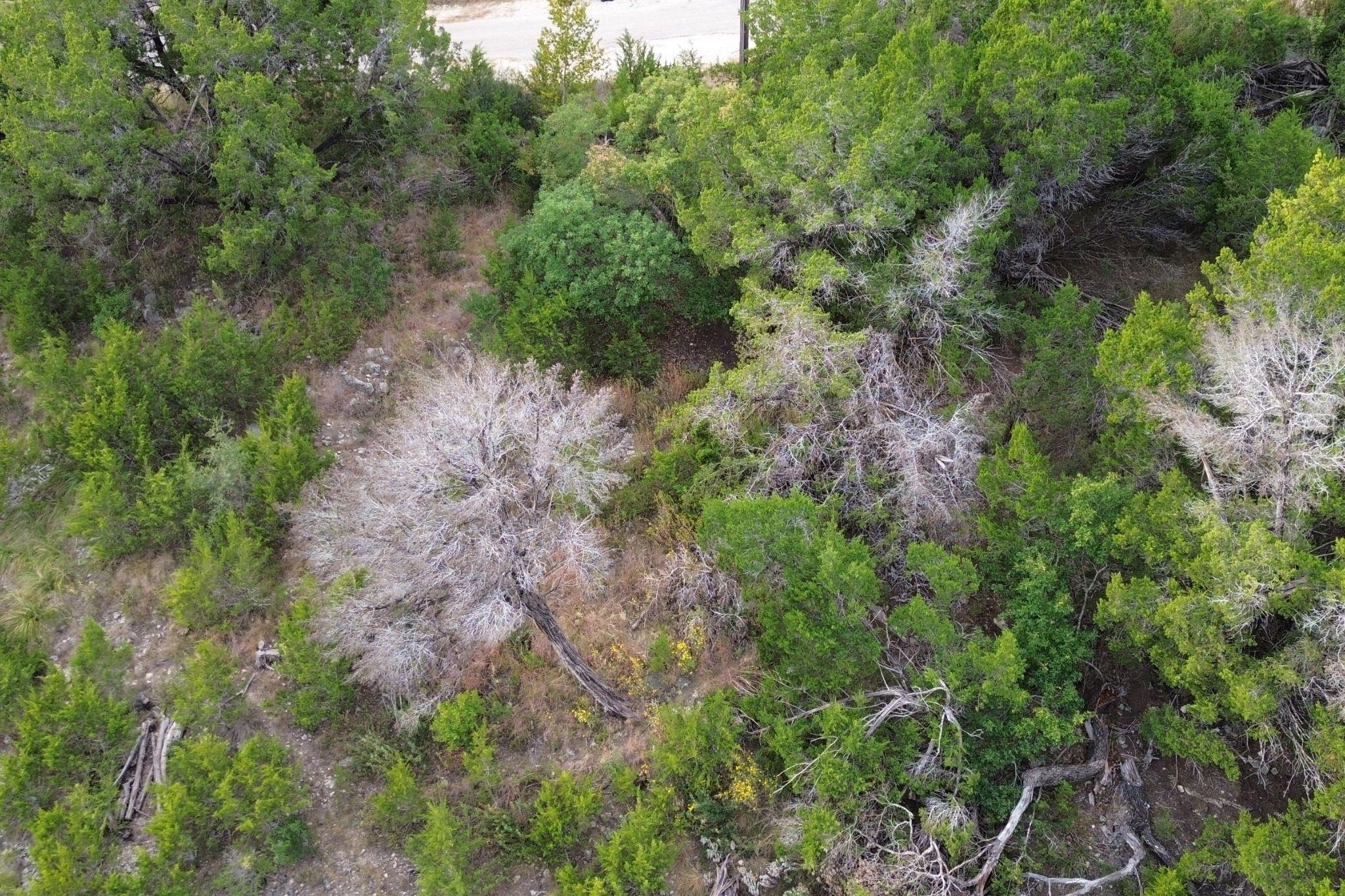 13910 Saskatchewan Dr, Austin, TX 78734