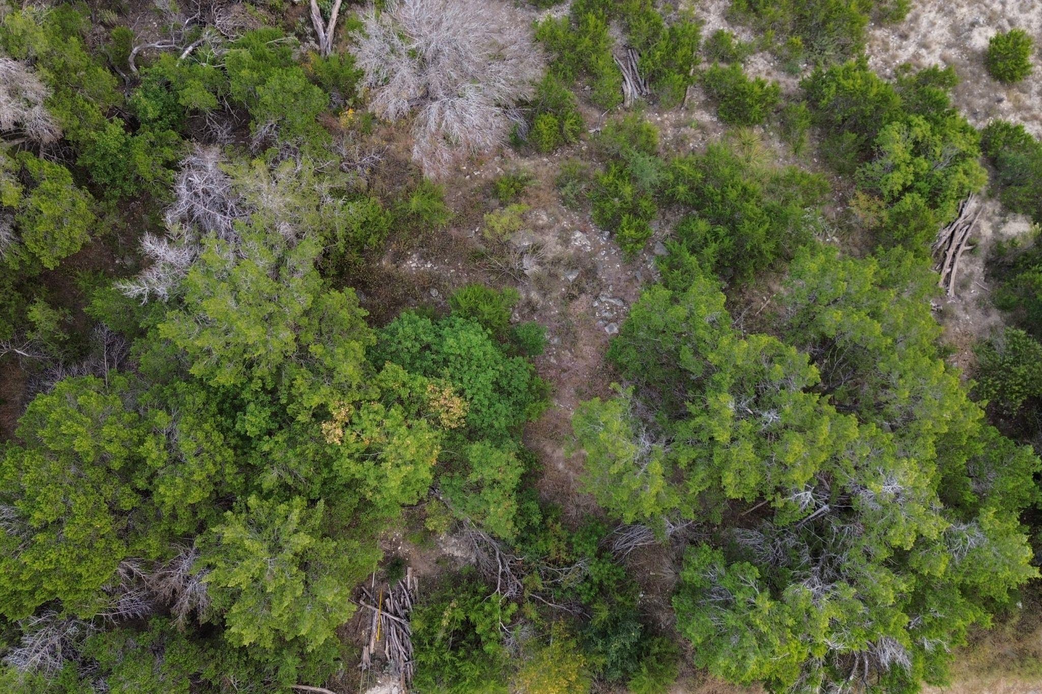 13910 Saskatchewan Dr, Austin, TX 78734