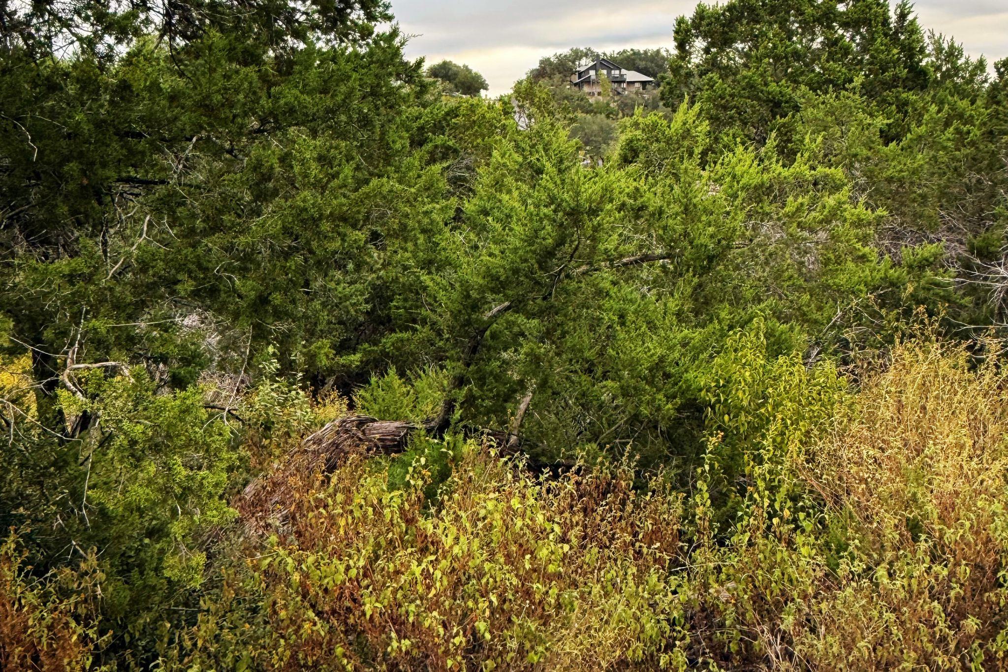 13910 Saskatchewan Dr, Austin, TX 78734