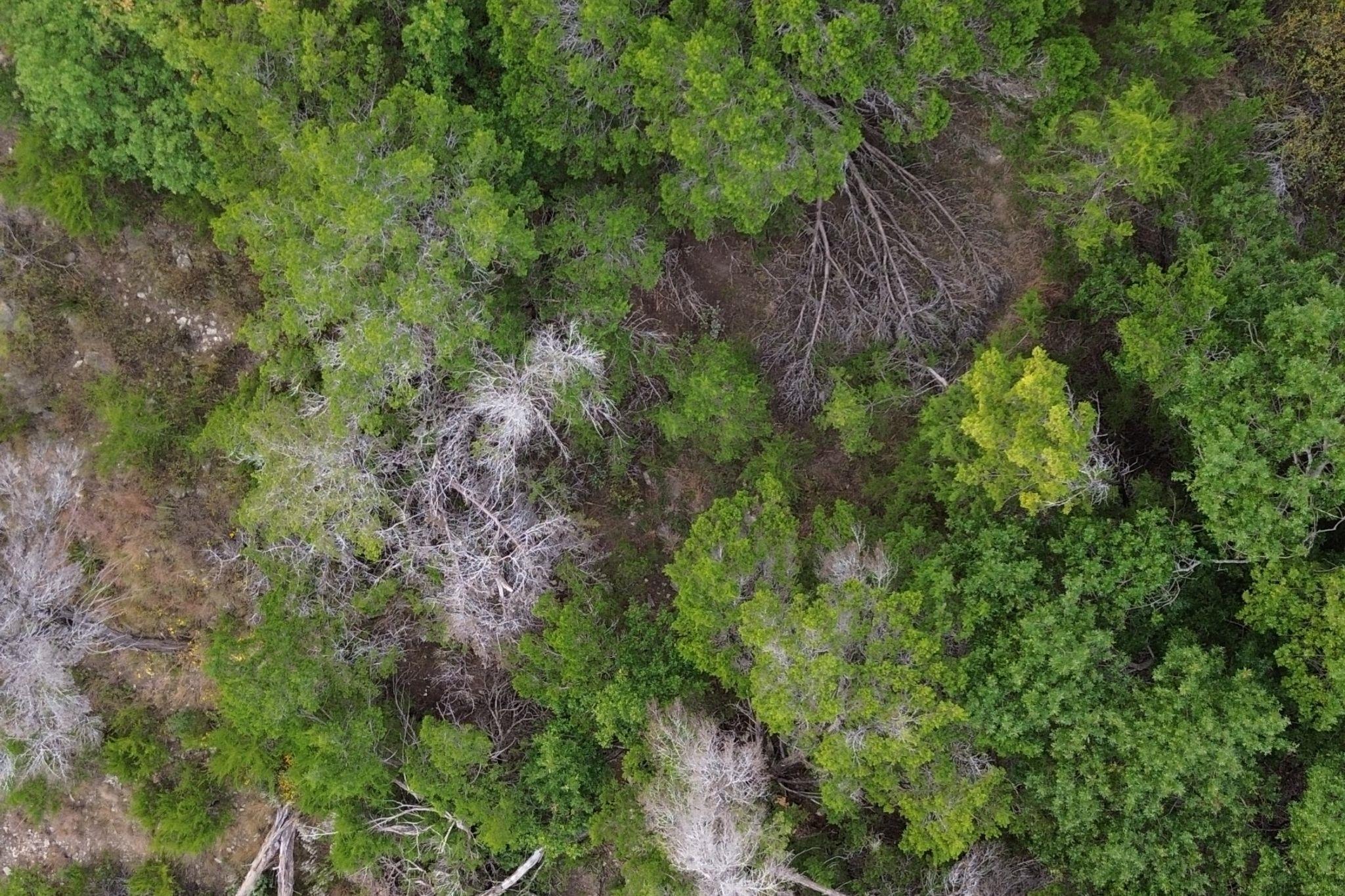 13910 Saskatchewan Dr, Austin, TX 78734