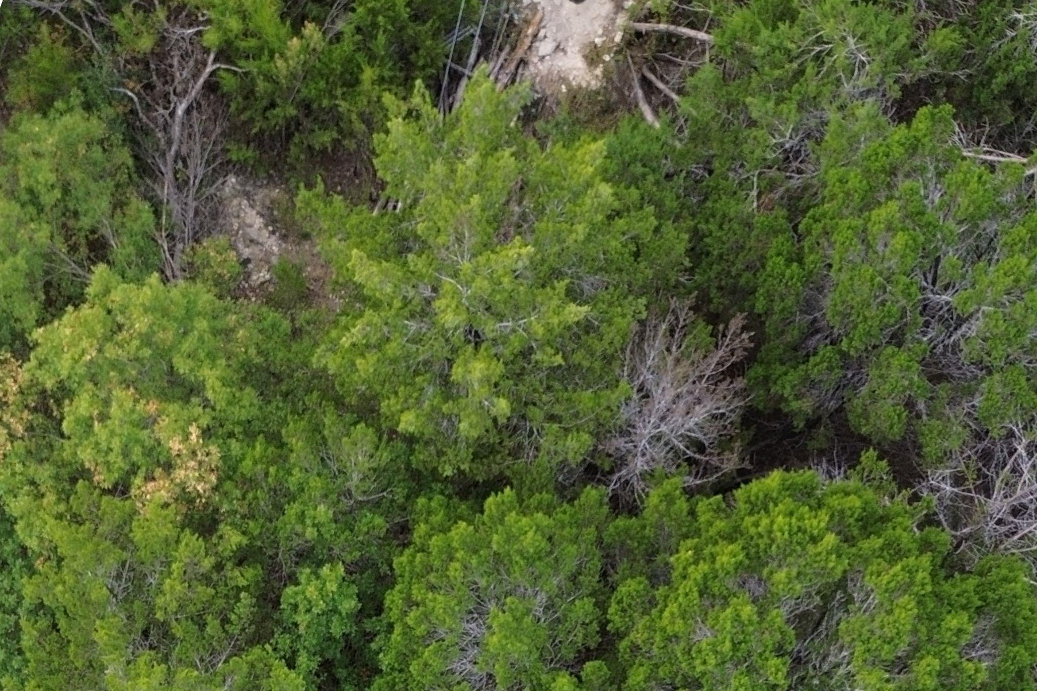 13910 Saskatchewan Dr, Austin, TX 78734