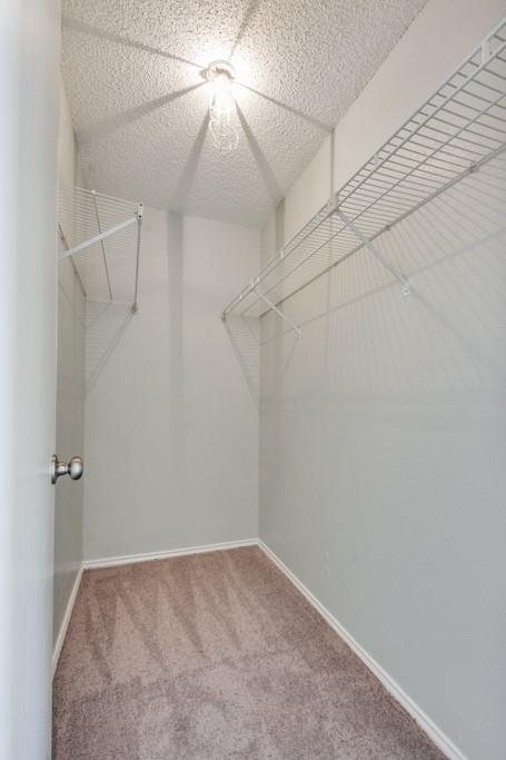 9101 Japonica Ct # B, Austin, TX 78748