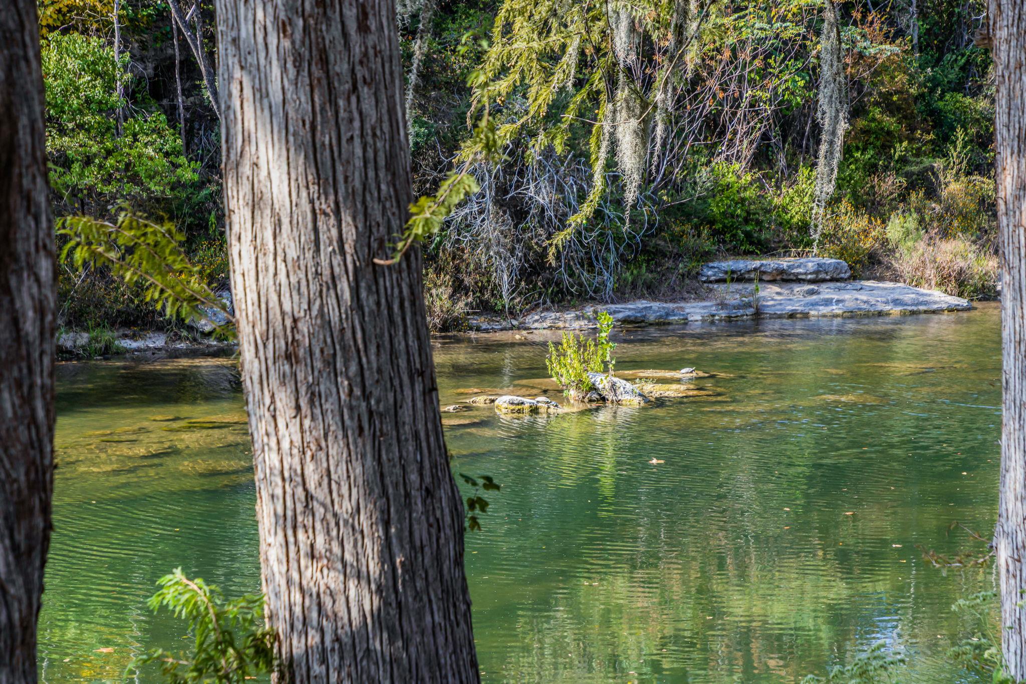 232 Riverfront Dr, New Braunfels, TX 78132