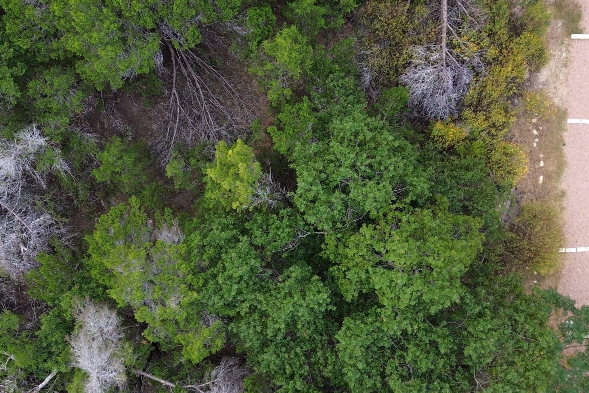 13912 Saskatchewan Dr, Austin, TX 78734