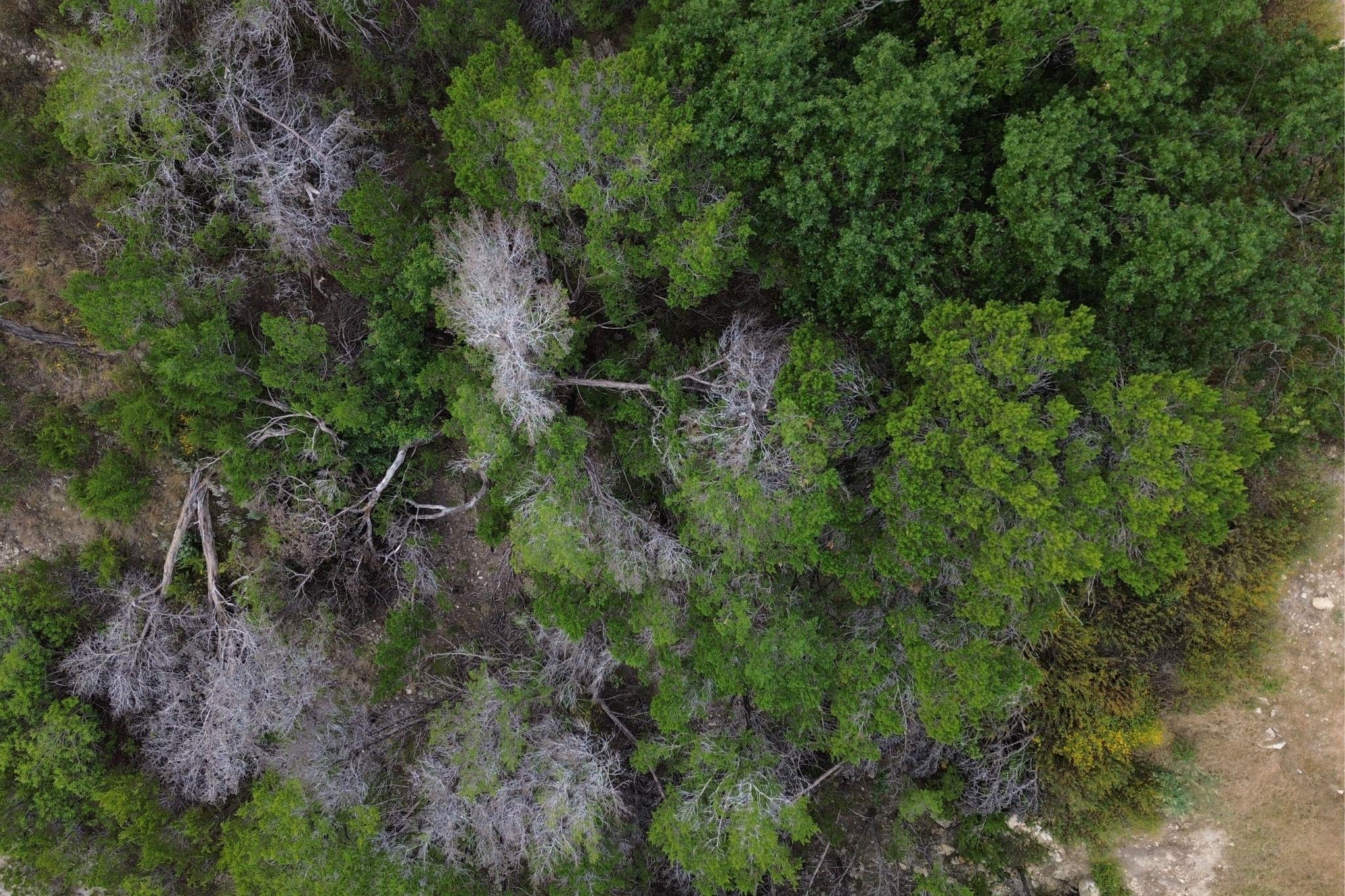 13912 Saskatchewan Dr, Austin, TX 78734