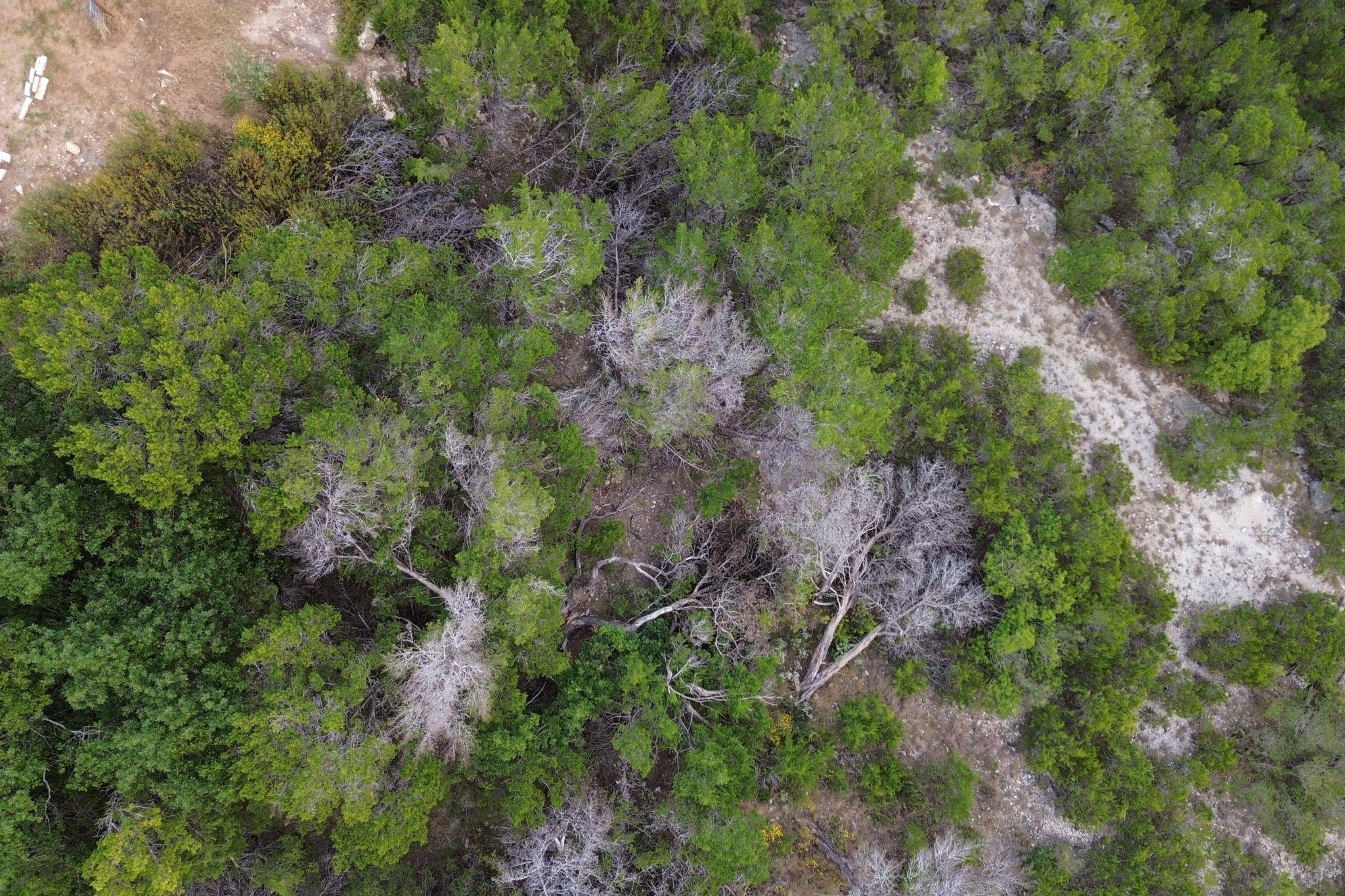 13912 Saskatchewan Dr, Austin, TX 78734