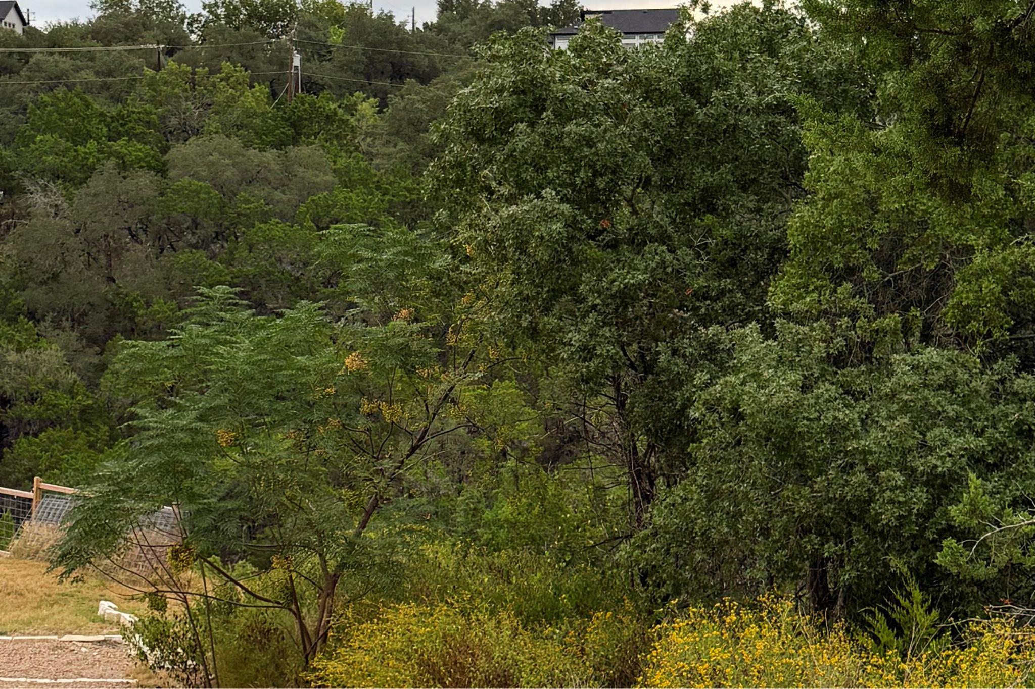 13912 Saskatchewan Dr, Austin, TX 78734