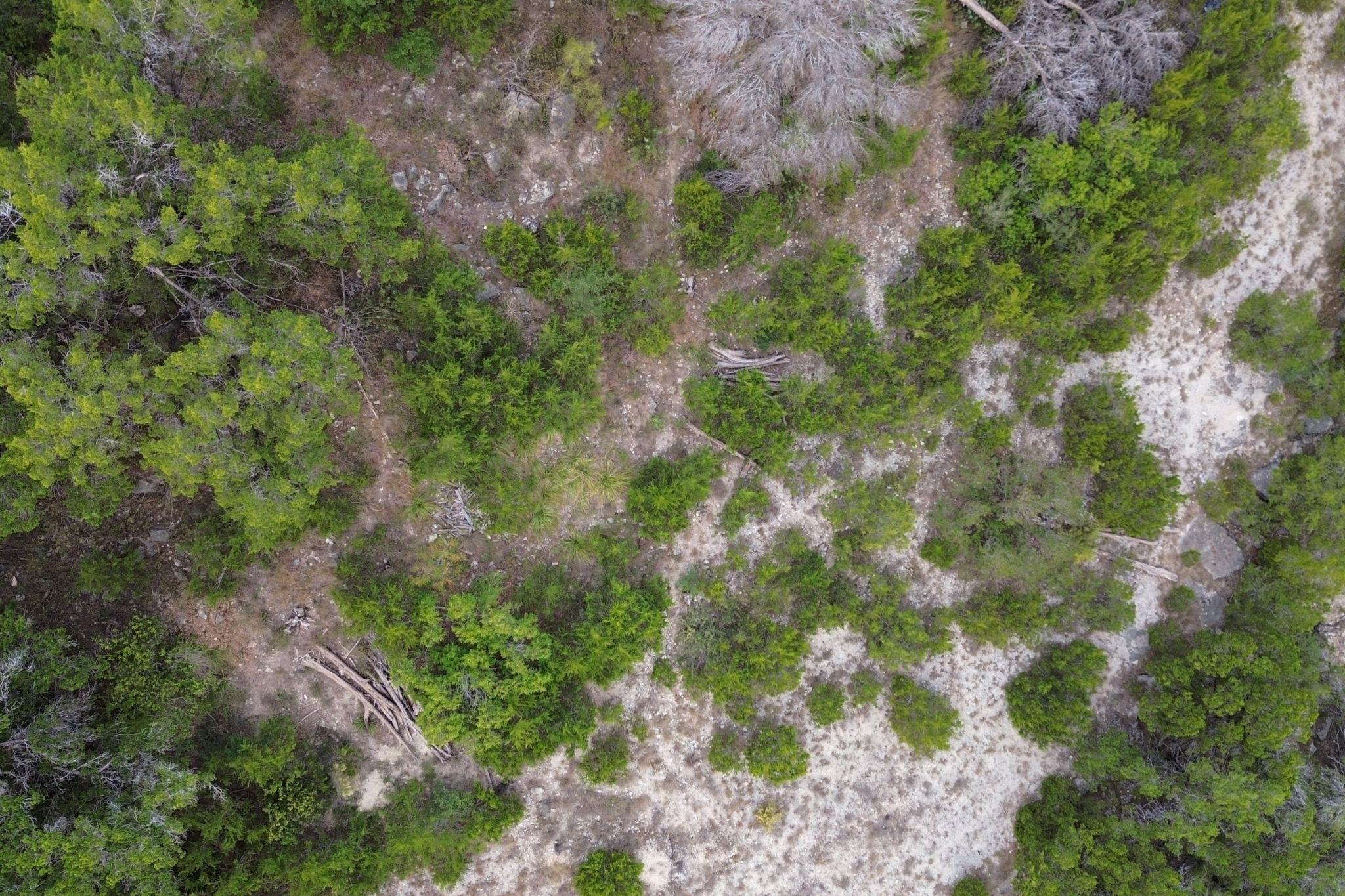 13912 Saskatchewan Dr, Austin, TX 78734