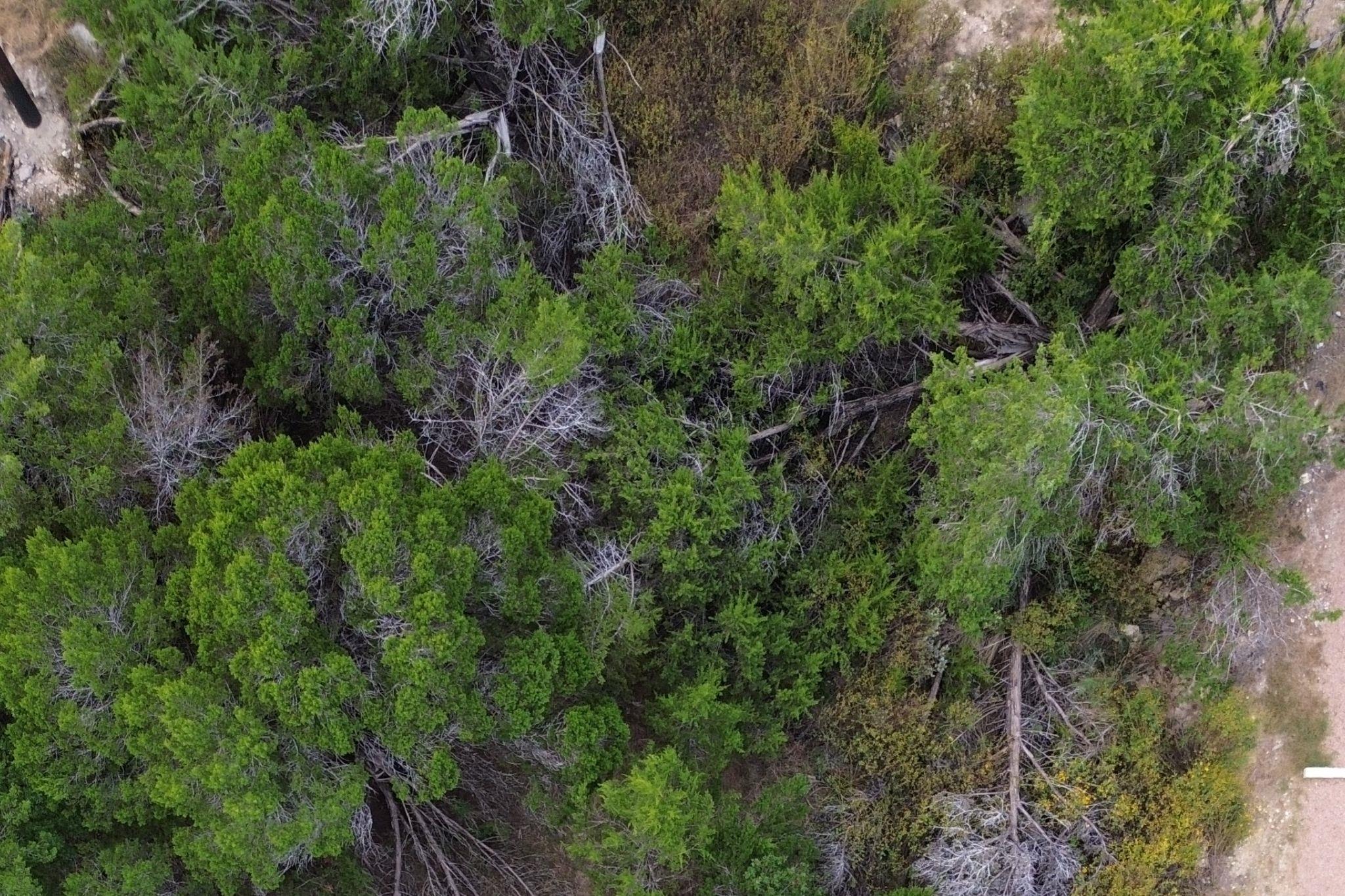 13912 Saskatchewan Dr, Austin, TX 78734